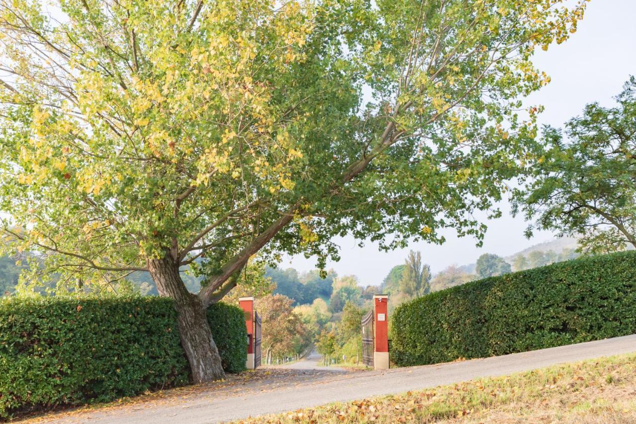 Ca Palazzo Malvasia - Bolognarooms Sasso Marconi Ngoại thất bức ảnh